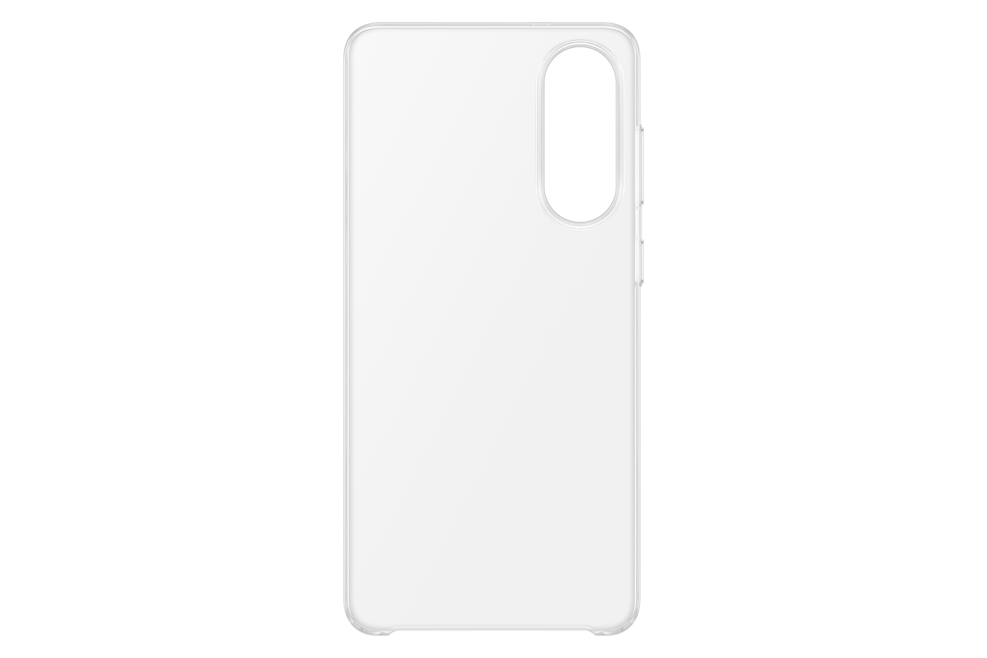 back Transparent